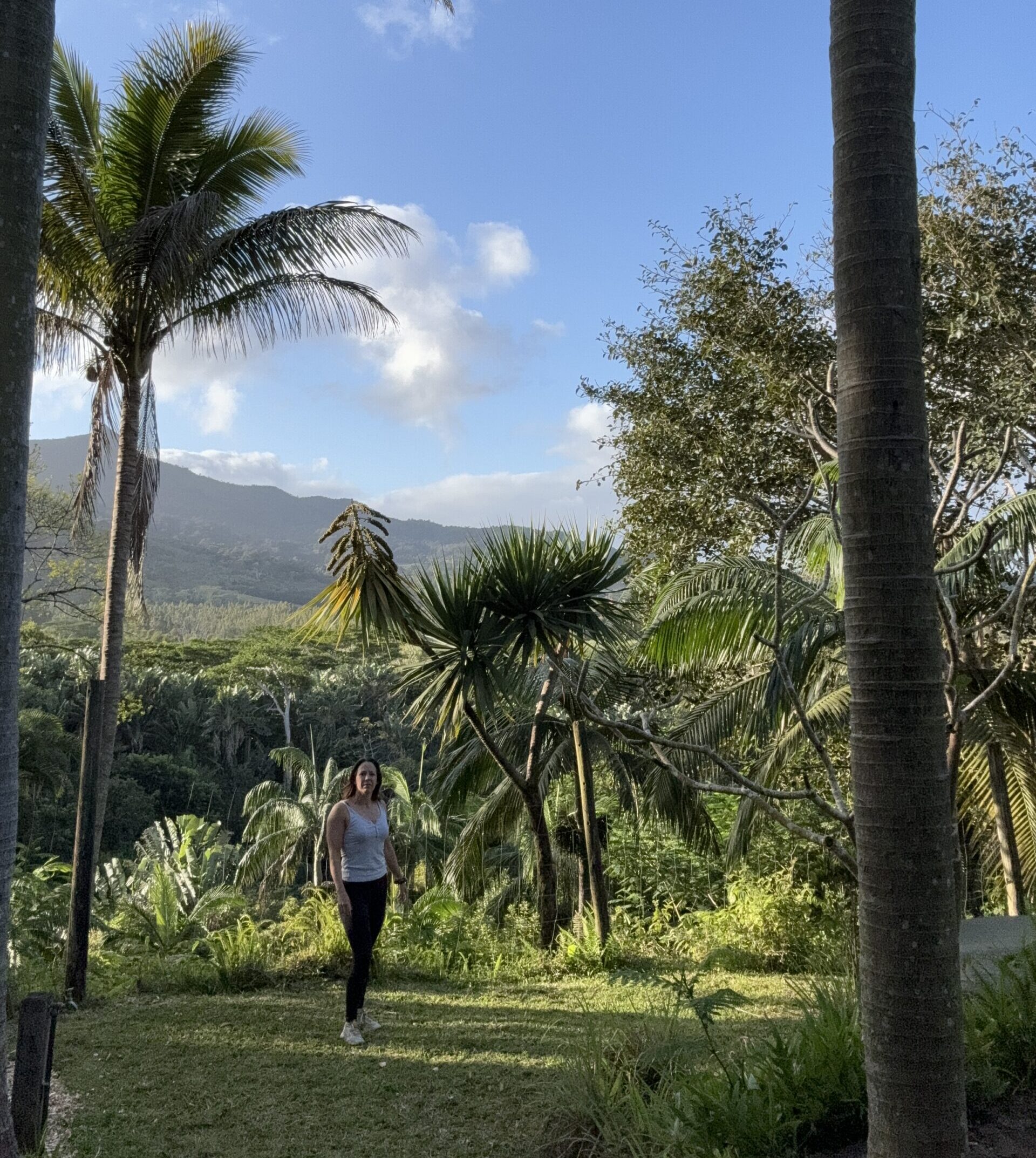 Avontuur, luxe, ontspanning en natuur op Mauritius
