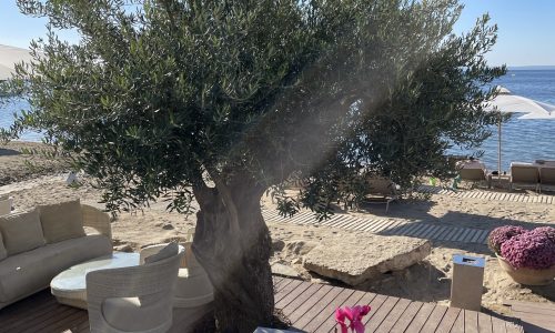 Ikos Olivia luxe all inclusive resort Griekenland